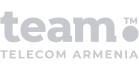 Team Telecom